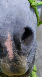IMG_3471.jpeg