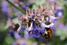XT5A0674-Bx2.jpg