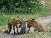 we are family.jpg