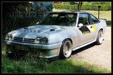 Manta-schräg.jpg