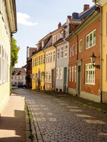 DSC01373s.jpg