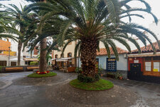 DSC00167c.jpg