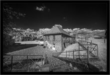 DSC02397.jpg