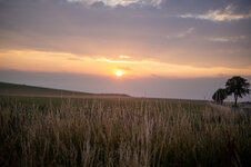 L1000021-2.jpg