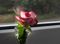 L1000022-3.jpg