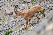 20240705-_7R58045-ARW-Bearbeitet_LuminarNeo-edit.jpg
