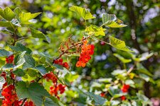 Compressed_0000.jpg Compressed_0000.jpg