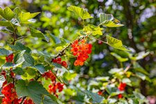 Compressed_0001.jpg Compressed_0001.jpg