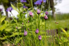 Compressed_0002.jpg Compressed_0002.jpg