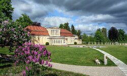 DSC03812 Orangerie Schloß Neustrelitz (C) HUND.JPG DSC03812 Orangerie Schloß Neustrelitz (C) HUND.JPG