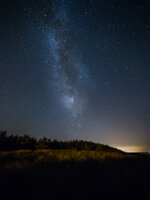 IMG_5541.jpg IMG_5541.jpg