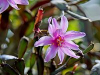 Wilhelma_2024_0037.jpg