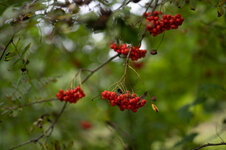 210831_NZ6_6121_SmartPrev_JPEGmini.jpg