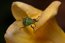 IMG_8814.JPG