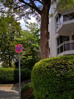P7110460-A.jpg