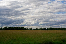 A7R01917_1.jpg