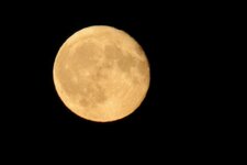 IMG_0617.jpeg