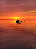 IMG_20240726_050732.jpg