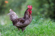 20240717-IMG_4679g.jpg