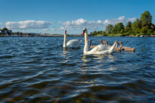P7280047-XD2-1500.jpg