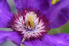 DSCF2735a.jpg