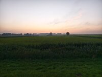 IMG_20240803_051725.jpg