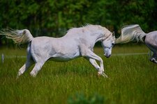 IMG_2488.jpeg