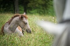 A7R02278_1350_2.jpeg
