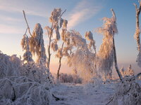 IMG_3610.jpeg