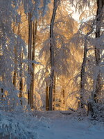 IMG_3603.jpeg