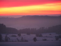 IMG_4349.jpeg