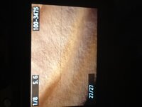 IMG_0576.JPG