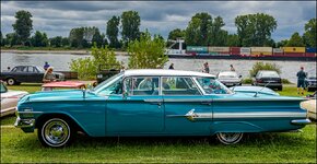 comp_Impala 2.jpg