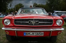 comp_Mustang - Fury, wie wärs´mit  nem Ritt.jpg