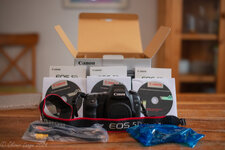 5D_II-7.jpg