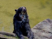 Wilhelma_2024_0632.jpg