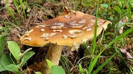 20240710_085328.jpg