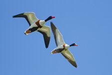 M1X14724_DxO.jpg