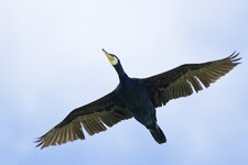 M1X14805_DxO.jpg