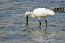 M1X27437_DxO.jpg