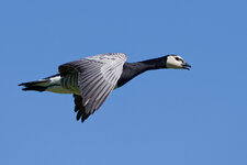 M1X27979_DxO.jpg