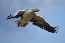 M1X28004_DxO.jpg