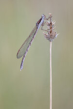 20210913-IMG_9006-b.jpg