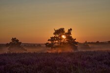 _B5A6723_Aug. 28 2024.jpg