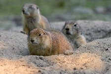 28. August 2024_0002.jpg