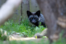 28. August 2024_0003.jpg