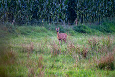 29. August 2024_0001.jpg