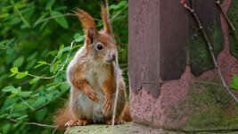 DO008409-dslr-forum.jpg