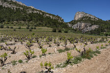 A7R00857.jpg