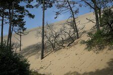 comp_Tour de France 2022-4578.jpg